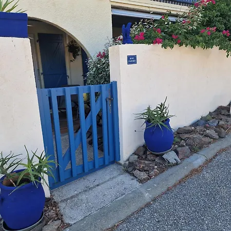 L'oasis Bleu *